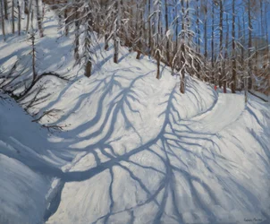Tannenschatten, Tignes, 2009
