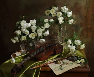 Weiße Rosen Geigenmusik