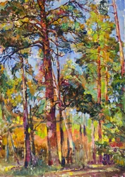Sonnenbeschienener Kiefernwald