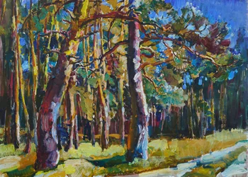 Sonniger Kiefernwaldweg