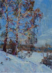 Sonnenbeschienene Winterbirken