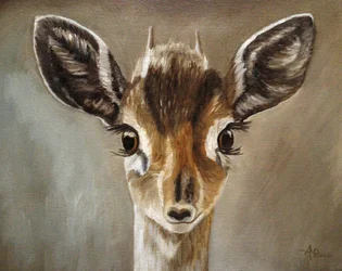 Niedliches Dik-Dik-Kitz