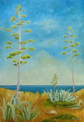 Agave am Ozean