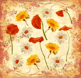 Fröhliche Mohnblumen und Gänseblümchen