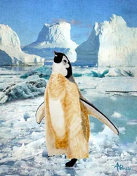 Neugieriger Pinguin auf Antarktischem Eis