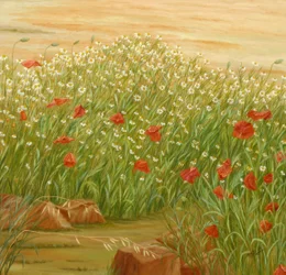 Sommermohn- und Gänseblümchenfeld