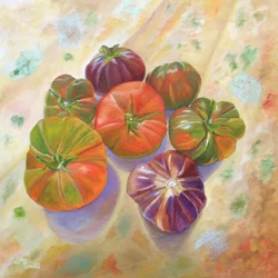 Lebendige Erbstück-Tomaten