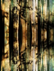 Abstrakte Waldschatten
