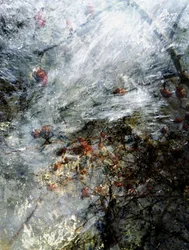 Gefrorene Winterbeeren