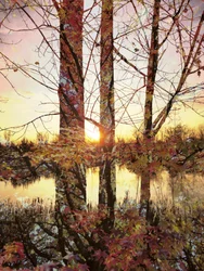 Goldene Stunde Herbstreflexion