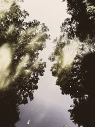 Naturgespiegelter Himmel
