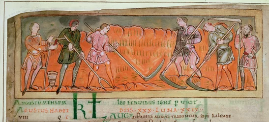 Ernte, aus einem Kalender (Detail)