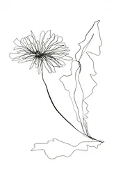 Löwenzahn Linienkunst