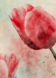 Lebendige Aquarell-Tulpen