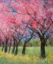 Kirschblüte auf der Wiese, 2022