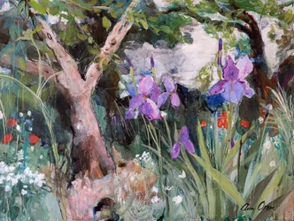 Mediterraner Garten mit Schwertlilien, 2019