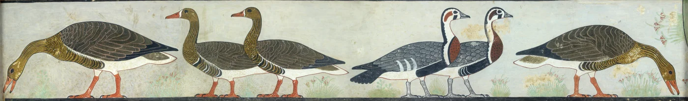 Kopie der Wandmalerei aus der Mastaba von Itet, Medum IV, 93-94 Gänse, 20. Jahrhundert