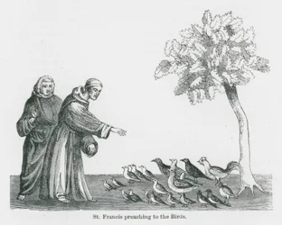 St. Franziskus predigt den Vögeln