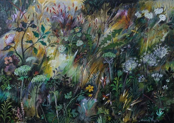 Wilde Wiese