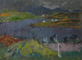 Landschaft auf Skye