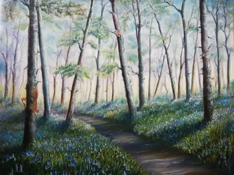 Blaue Glockenblumen-Waldweg