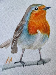 Charmanter Aquarell-Rotkehlchen