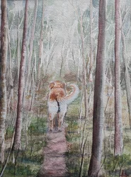 Waldspaziergang des Hundes