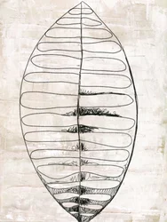Organische Blattlinienkunst