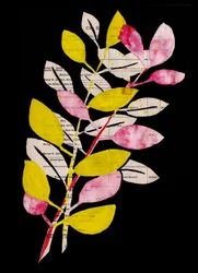 Rosa Gelbe Botanische Collage