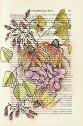Vintage botanische Studie