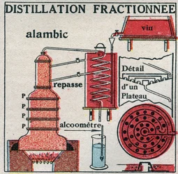 Zustandsänderungen: Dämpfe. Fraktionierte Destillation von Wein. Anonyme Illustration von 1925. Private Sammlung.