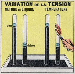 Zustandsänderungen: Dämpfe. Spannungsvariation je nach Art der Flüssigkeit oder Temperatur. Anonyme Illustration von 1925. Private Sammlung.
