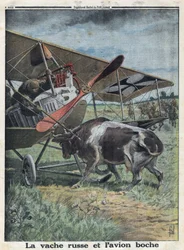Erster Weltkrieg 1914-1918. Kuh in Russland verhindert den Start eines deutschen Armeeflugzeugs. In „Le Petit Journal“, am 22.10.1916. Private Sammlung