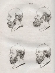 Physiognomie - Mehrere Köpfe des griechischen Philosophen Sokrates