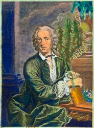 Porträt von Carl von Linné (1707-1778) schwedischer Naturforscher - Private Sammlung