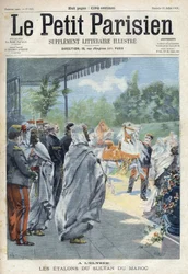 Die Hengste von Abd al-Aziz