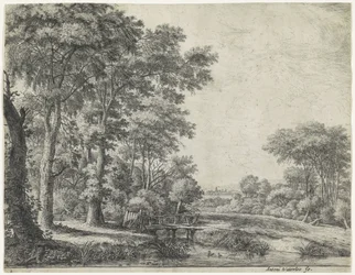 Waldrand mit einer Holzbrücke
