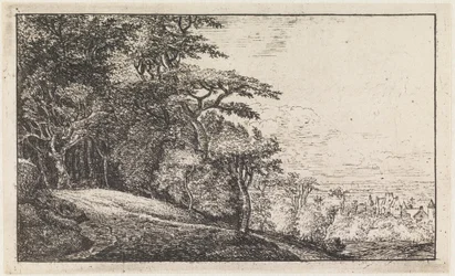 Der Eingang zu einem Wald
