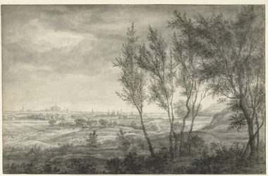Blick aus den Dünen auf Haarlem