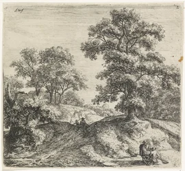 Grote eik naast een pad