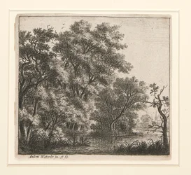 Die bewaldete Insel