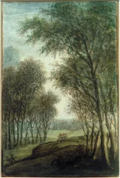 Waldrand