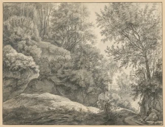 Waldstudie