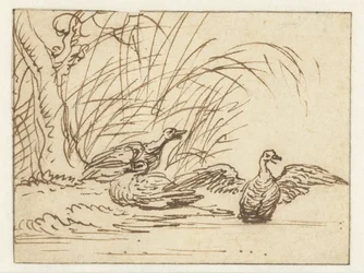 Drei Enten am Wasserufer