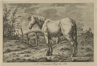 Stehendes Pferd