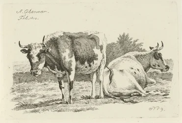 Stehende und liegende Kuh