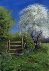 Frühling am Stile, 2013