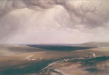 Auf den South Downs