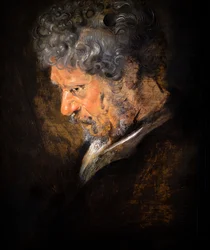 Studie eines alten Mannes: linkes Profil (Detail)