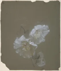 Florales Design